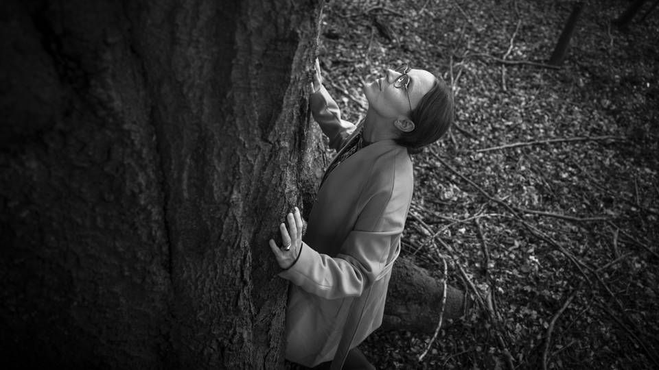 Miljøminister Lea Wermelin fotograferet i Stenderupskovene i Kolding, der er kandidat til at blive en ny naturnationalpark. | Foto: Casper Dalhoff/IND