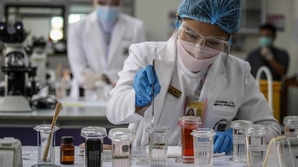 Generic photo of life science | Photo: JAM STA ROSA/AFP / AFP