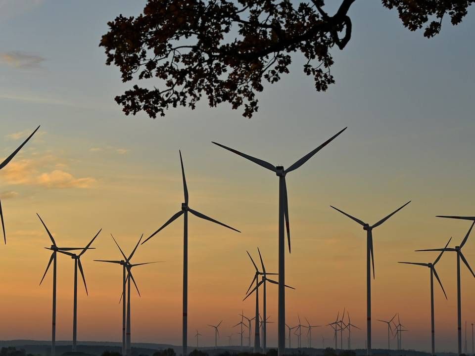 Ein Windpark in Brandenburg. | Foto: picture alliance/dpa/dpa-Zentralbild | Patrick Pleul