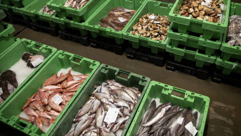 Bagmandspolitiet kræver både bøder og konfiskation af et trecifret millionbeløb hos fiskeriselskaber, der efter anklagemyndighedens vurdering ulovligt har været styret af Henning Kjeldsen. (Arkivfoto) | Foto: Finn Frandsen