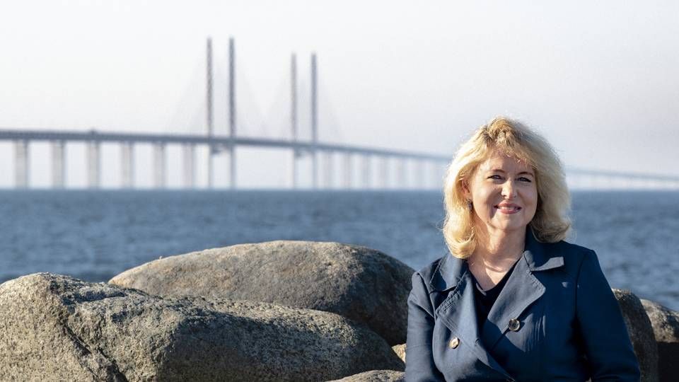 Anette Steenberg overtog jobbet som adm. direktør i den dansk-svenske Medicon Valley Alliance 1. november. | Foto: Medicon Valley Alliance / PR