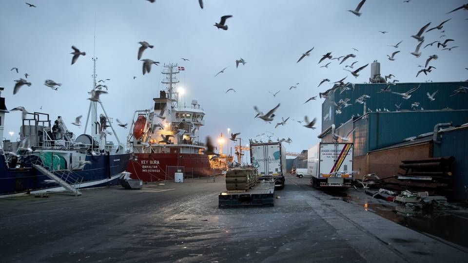 Arkivfoto fra Thyborøn Havn. | Foto: Finn Frandsen/Ritzau Scanpix.