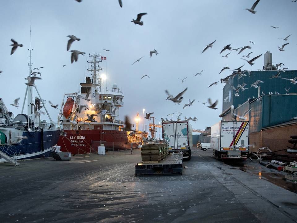 Arkivfoto fra Thyborøn Havn. | Foto: Finn Frandsen/Ritzau Scanpix.