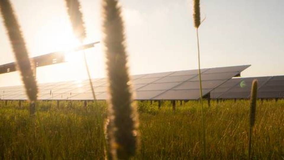Der er solcelleparker på vej i Viborg. | Foto: Better Energy PR
