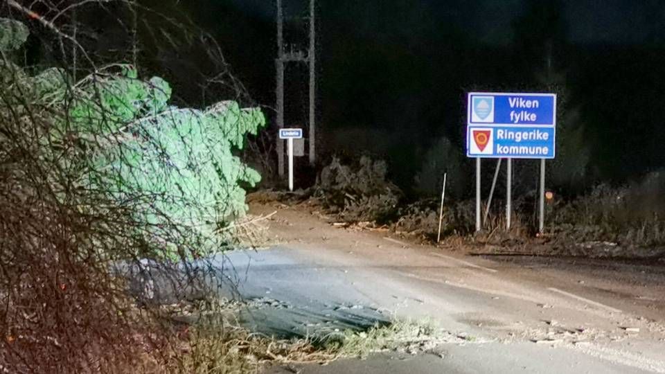 Store menger med trær ligger strødd over fylkesvei 243 i Hedalen på grensen mellom Ringerike og Sør Aurdal. Nødetatene har etablert seg ved Joker i Hedalen hvor hele området er uten strøm og mobildekning. | Foto: tipser / NTB