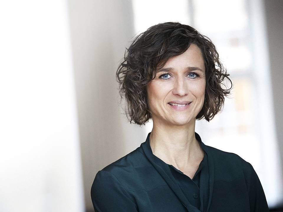 Birgitte Søgaard Holm er direktør for Investering & Opsparing i Finans Danmark | Foto: Finans Danmark/PR