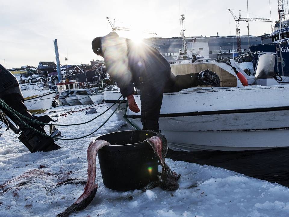 Foto: Casper Dalhoff/Ritzau Scanpix.