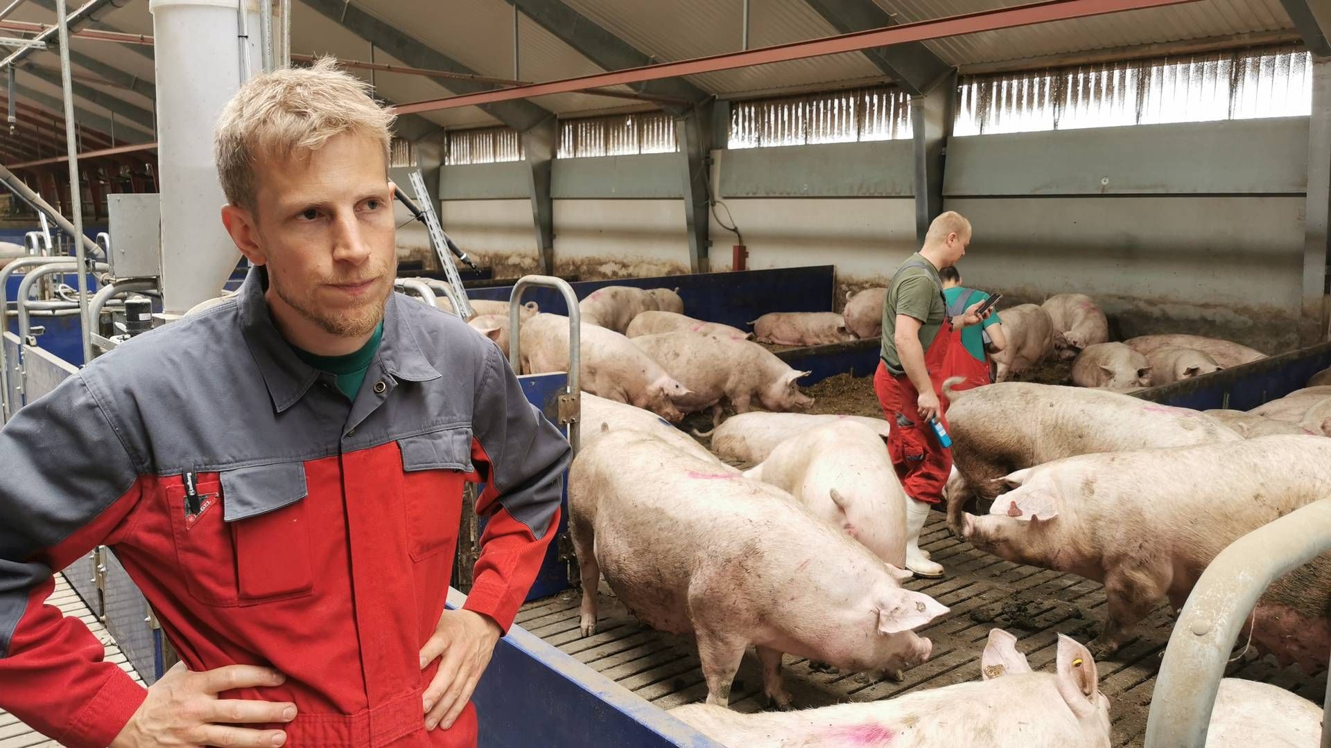 Jeppe Bloch Nielsen, formand for Danske Svineproducenter, er skeptisk over for regeringens udspil på dyrevelfærdsområdet. | Foto: Peter Høyer