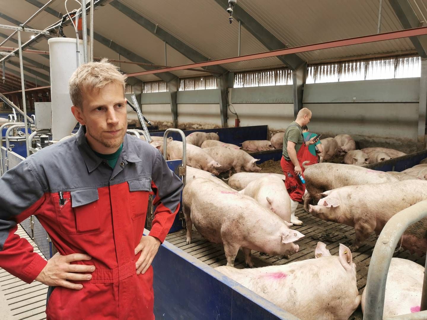 Jeppe Bloch Nielsen, formand for Danske Svineproducenter, er skeptisk over for regeringens udspil på dyrevelfærdsområdet. | Foto: Peter Høyer