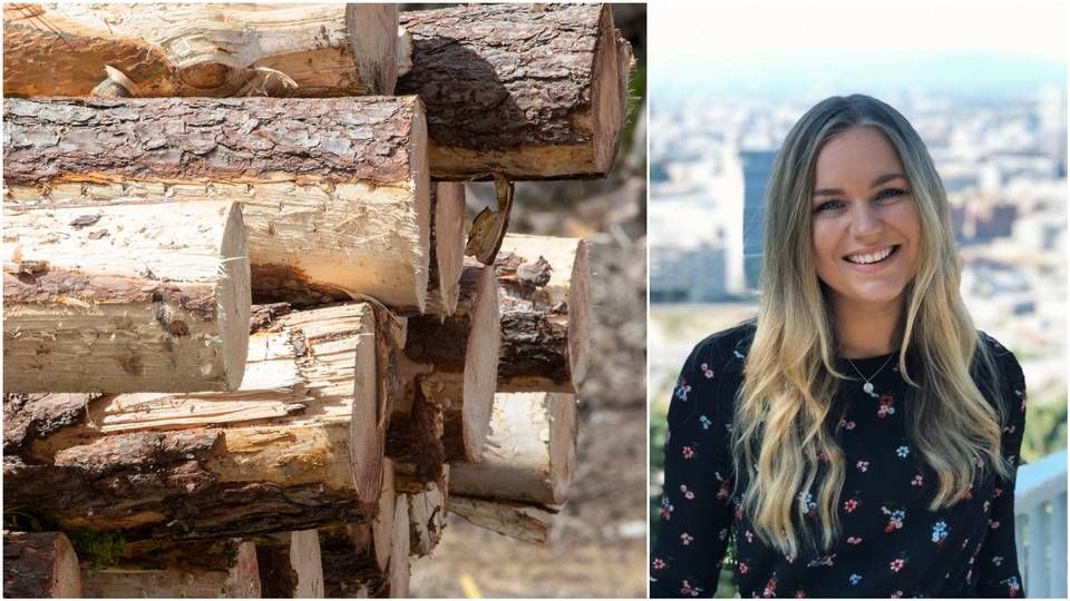 SPÅR PRISFALL: Tømmerprisene skal ned, tror Sara Midtgaard i Prognosesenteret. | Foto: NTB og Prognosesenteret