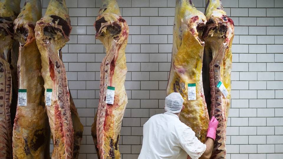 Kvaliteten og fødevaresikkerheden falder længere tid kød opbevares. Derfor er det ikke normalt at opbevare kød i mere end to år, hvis man går op i fødevarernes sundhed, kvalitet og sikkerhed, siger L&F’s veterinærdirektør, Jens Munk Ebbesen, nu om skandalesagen i Skare Meat Packers. | Foto: Rune Aarestrup Pedersen/JPA
