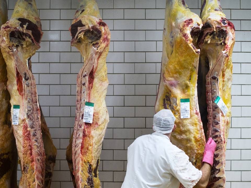 Kvaliteten og fødevaresikkerheden falder længere tid kød opbevares. Derfor er det ikke normalt at opbevare kød i mere end to år, hvis man går op i fødevarernes sundhed, kvalitet og sikkerhed, siger L&F’s veterinærdirektør, Jens Munk Ebbesen, nu om skandalesagen i Skare Meat Packers. | Foto: Rune Aarestrup Pedersen/JPA