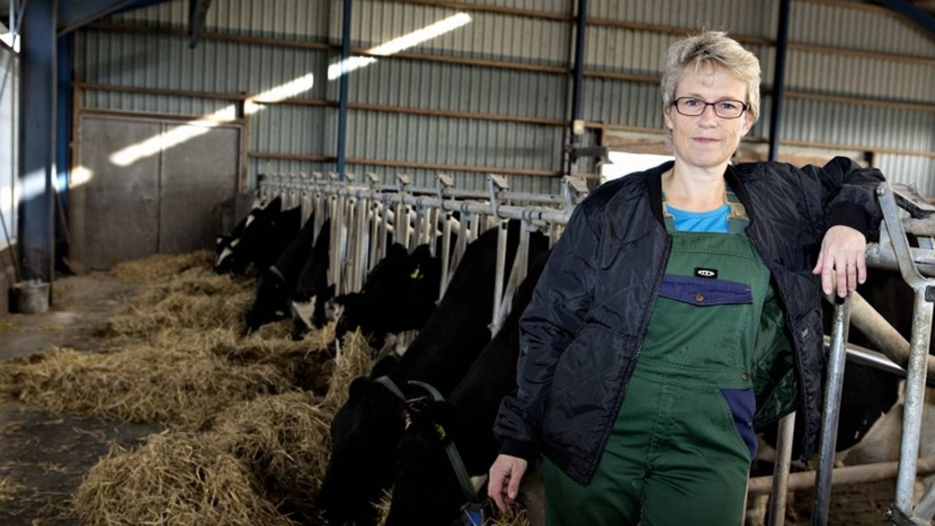 Lone Andersen, viceformand i Landbrug og Fødevarer, slår fast, at det er landmandens ansvar at leve op til reglerne, når man har udenlandske praktikanter. | Foto: LANDBRUG & FØDEVARER