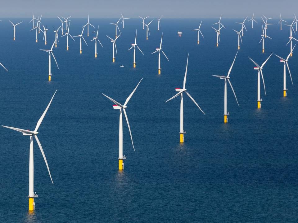 RWE vandt lodtrækningen og skal stå for Danmarks næste havmøllepark. | Foto: Siemens Gamesa/Paul-Langrock.de Agentur Zenit +49 172 3120 333 foto@paul-langrock.de