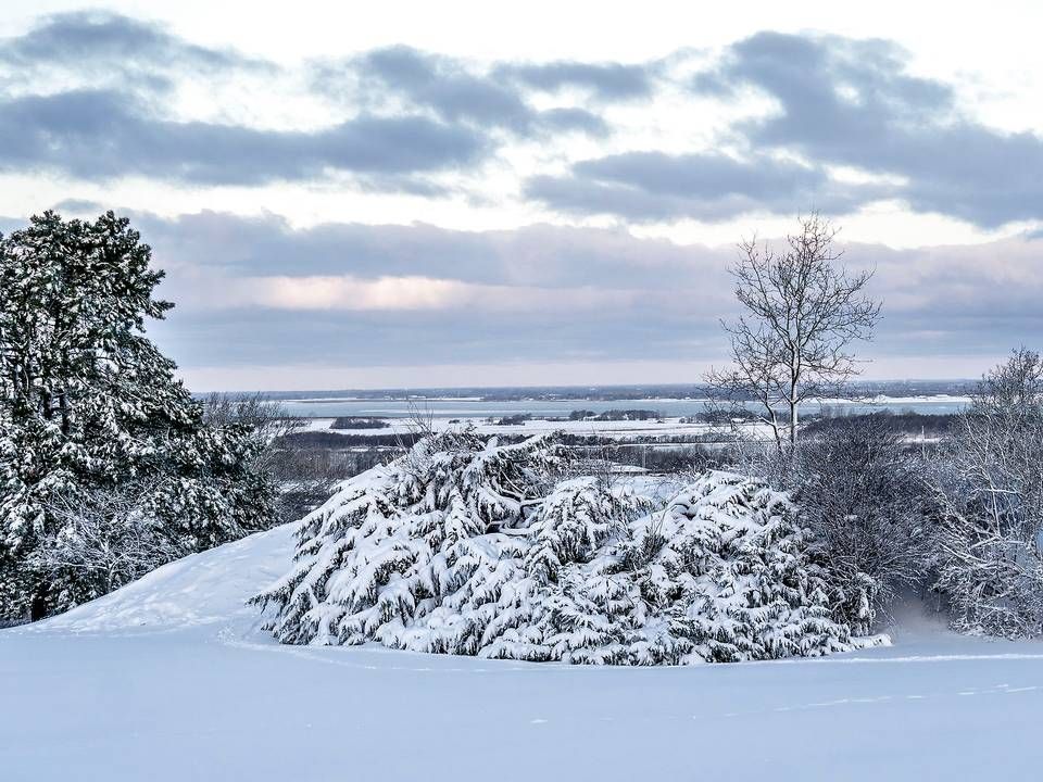 Sådan så det ud i Aalborg torsdag morgen efter en snestorm, der bl.a. medførte 30 aflyste flyafgange i Aalborg Lufthavn. | Foto: Henning Bagger/Ritzau Scanpix