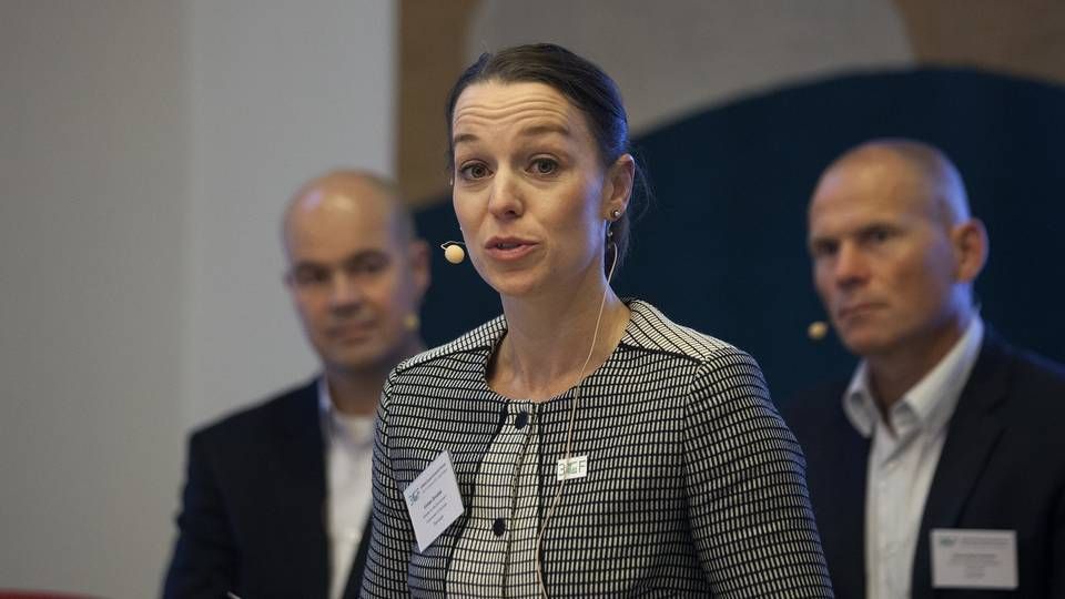 Formand Kirsten Brosbøl og resten af bestyrelsen i Dansk Miljøteknologi vil have ministeren på banen. | Foto: Finn Frandsen