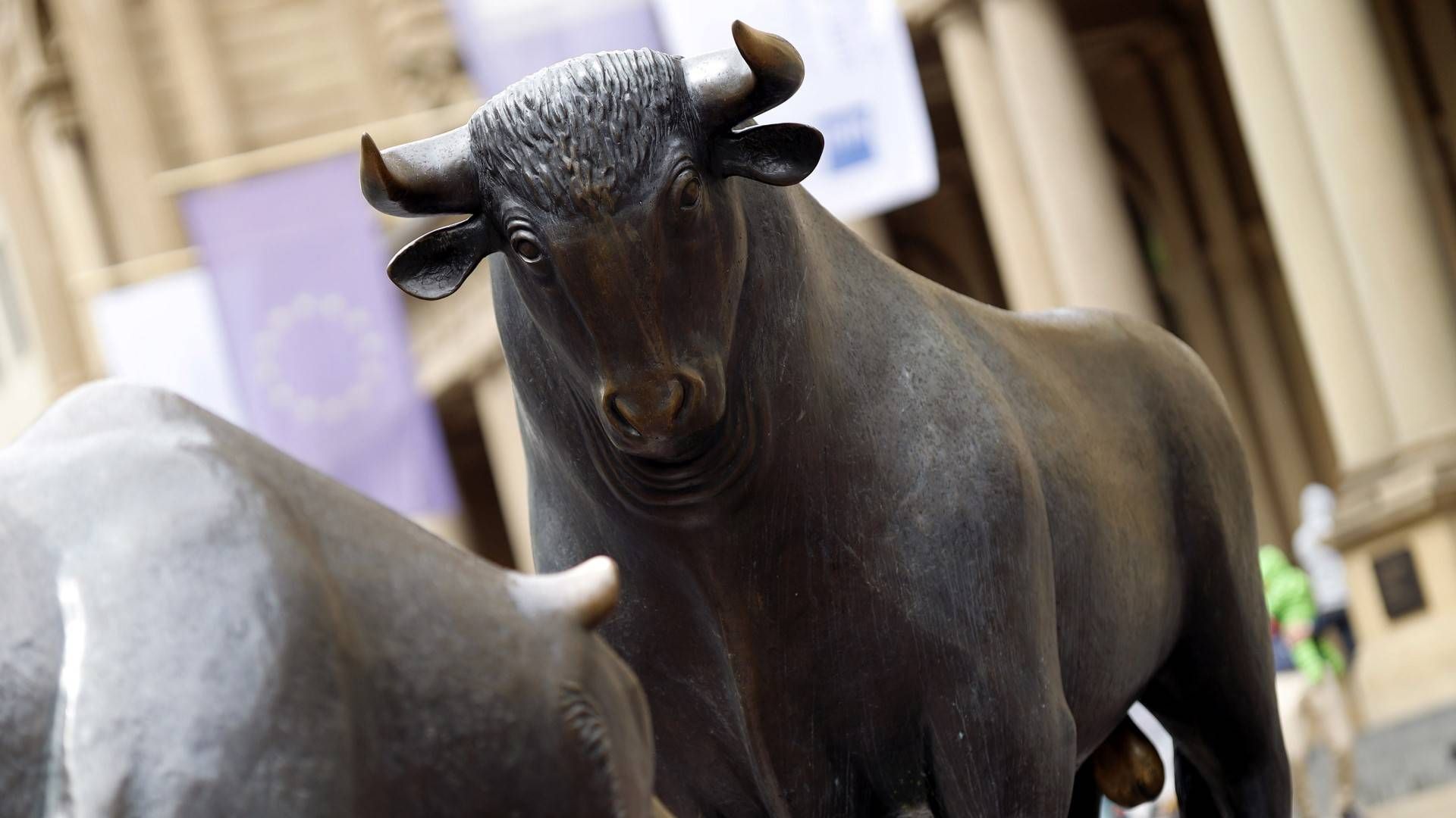 Bulle und Bär vor der Frankfurter Börse. | Foto: picture alliance / Geisler-Fotopress | Christoph Hardt