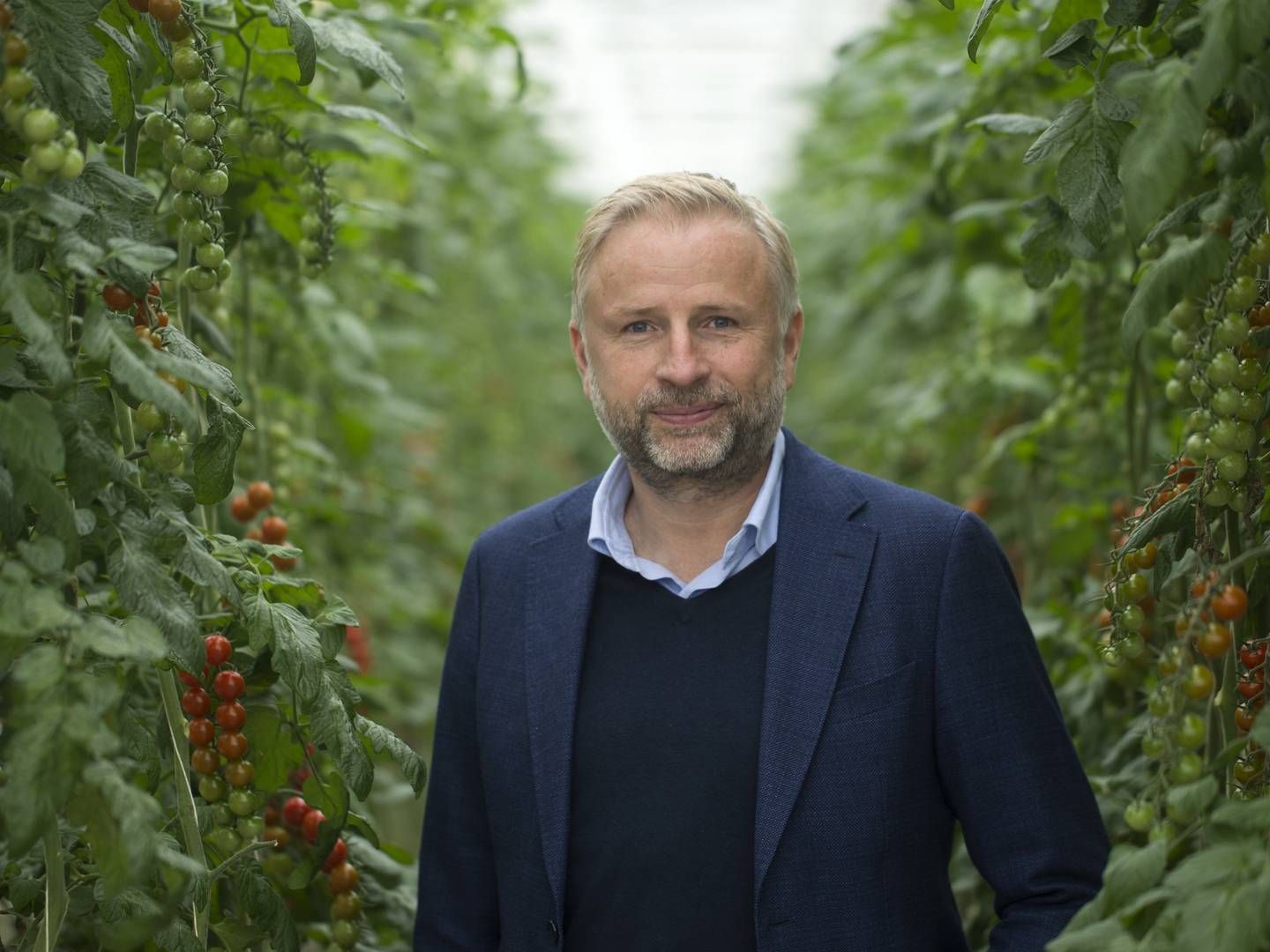 Mads Pedersen, ejer og direktør i Alfred Pedersen & Søn. | Foto: Benjamin Nørskov