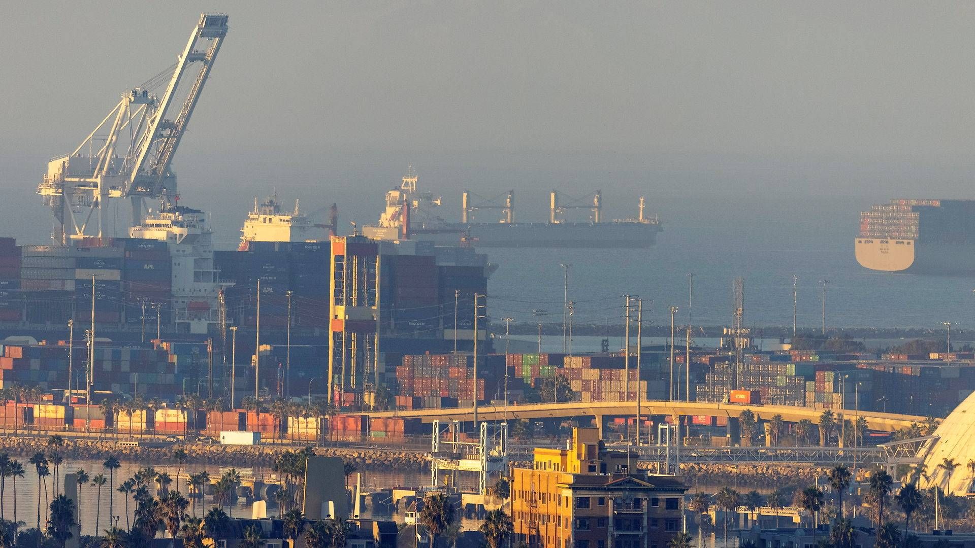 Containere i Long Beach. | Foto: Mike Blake/Reuters/Ritzau Scanpix