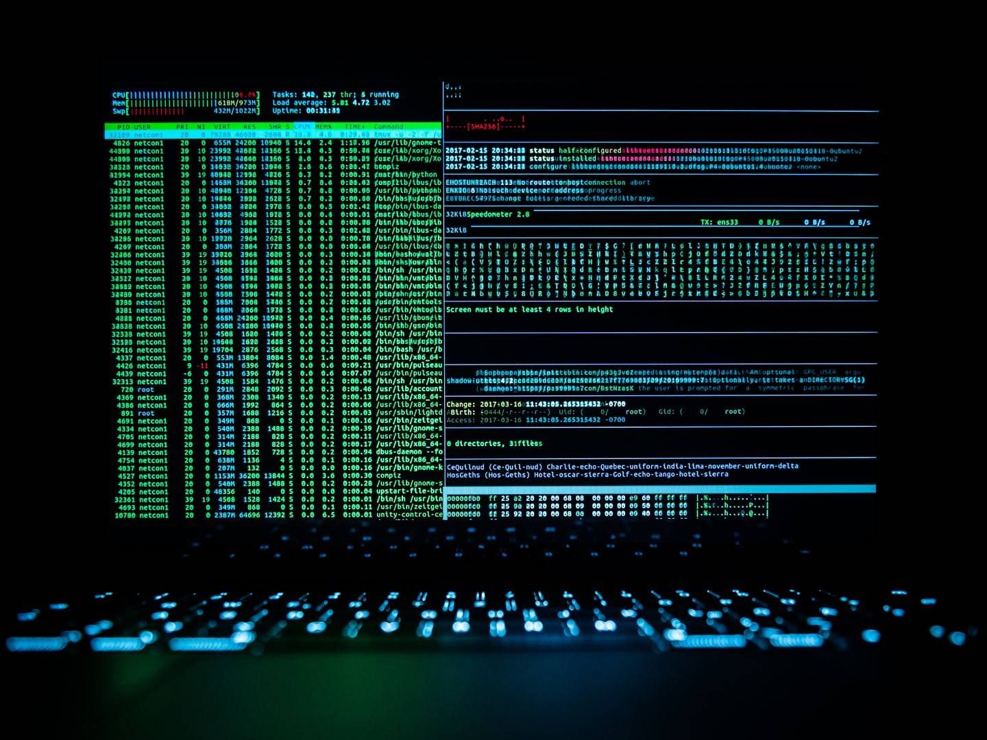 Ein Hacker-Programm wurde auf einem Laptop gestartet (Symbolfoto). | Foto: picture alliance/dpa | Silas Stein