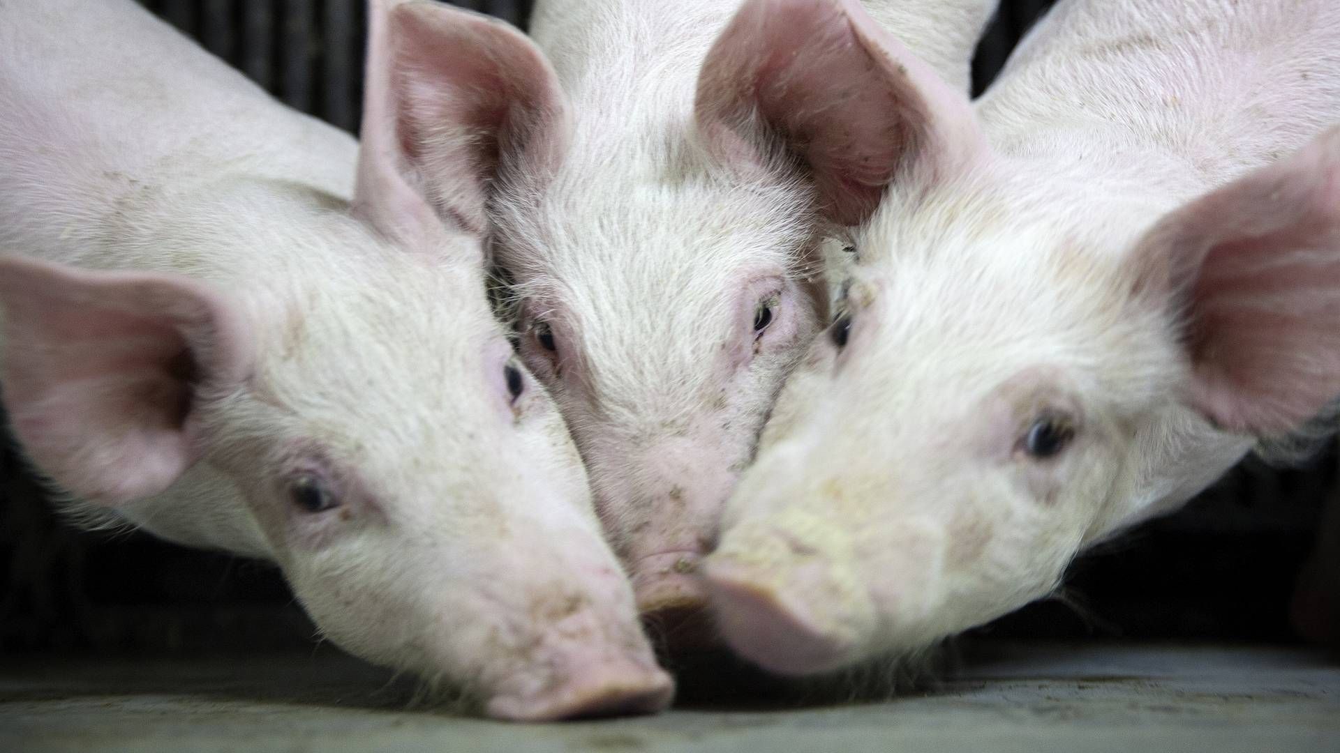 Regeringen har med et bredt flertal præsenteret ny aftale fredag. | Foto: Finn Frandsen