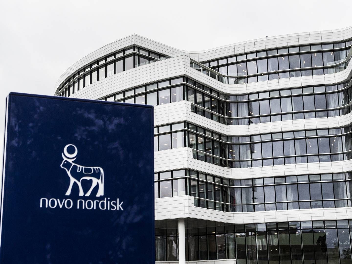 Novo Nordisk-hovedsædet i Bagsværd. | Foto: Stine Tidsvilde