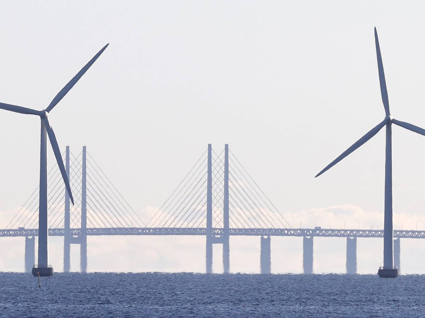 Vind er uden sammenligning det, der gør Danmark til et grønt foregangland. | Foto: Jens Dresling