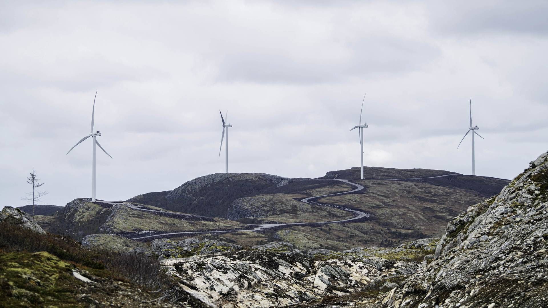 OMSTRDT: Roan vindkraftverk utgjør deler av stridens kjerne i Fosen-saken. 11. oktober er det ett år siden dommen i Høyesterett | Foto: Ole Martin Wold/Statkraft