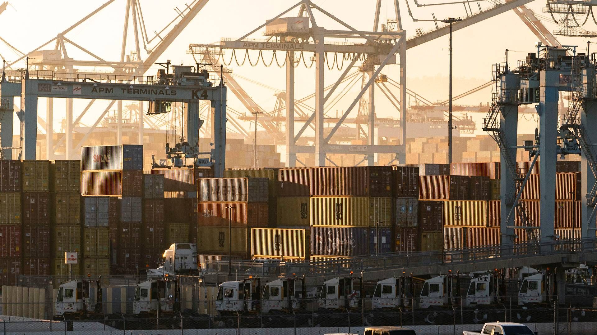 Der er gang handlen med logistikselskaber, og det kan koste de mindre livet. | Foto: Damian Dovarganes/AP/Ritzau Scanpix