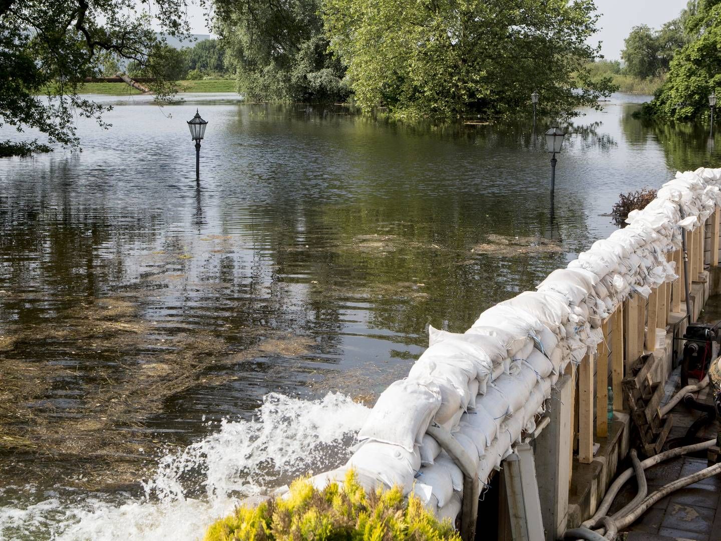 Sommeren bød blandt andet på ødelæggende oversvømmelser i Tyskland og Belgien. | Foto: Daniel Hjorth
