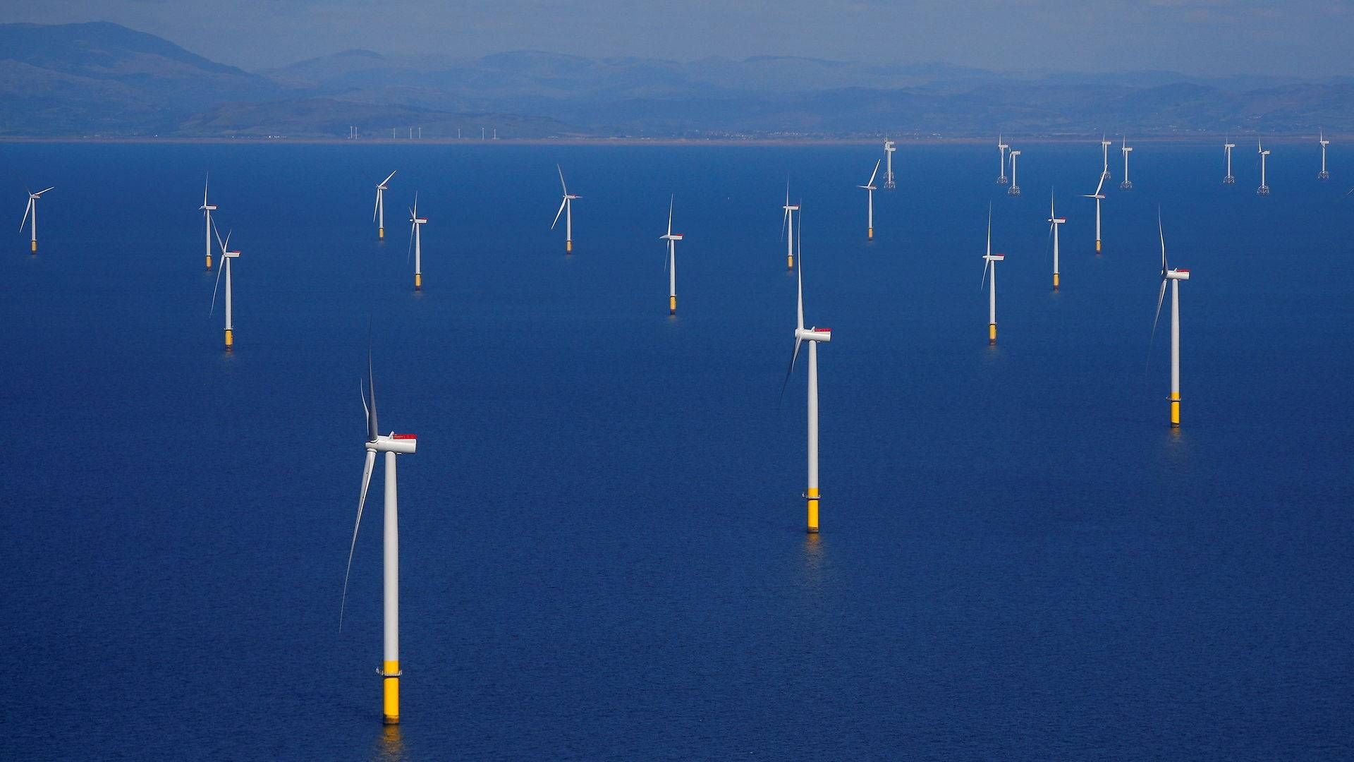 Offshore wind farm Walney Extension in the UK, operated by Ørsted. | Photo: Phil Noble/Reuters/Ritzau Scanpix