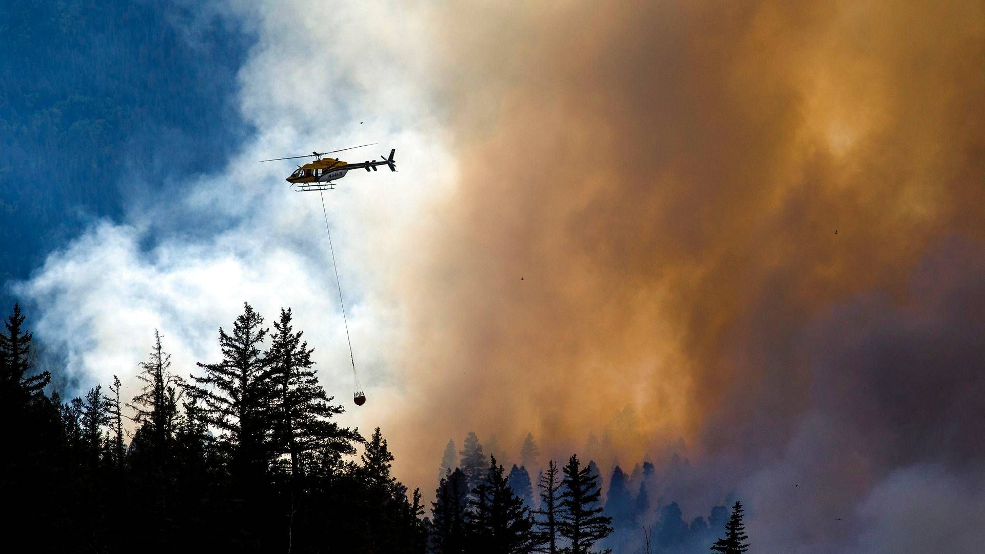 Skovbrand i USA. | Foto: Hugh Carey/AP/Ritzau Scanpix