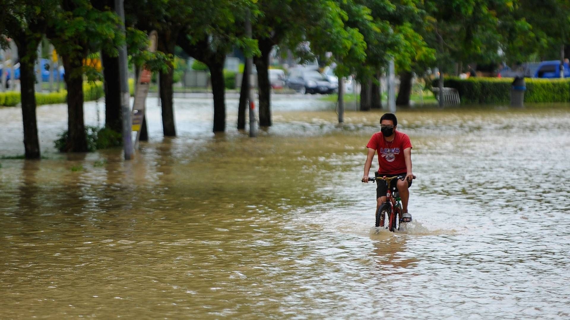 Foto: NAZRULHAD HASHIM/AFP / AFP