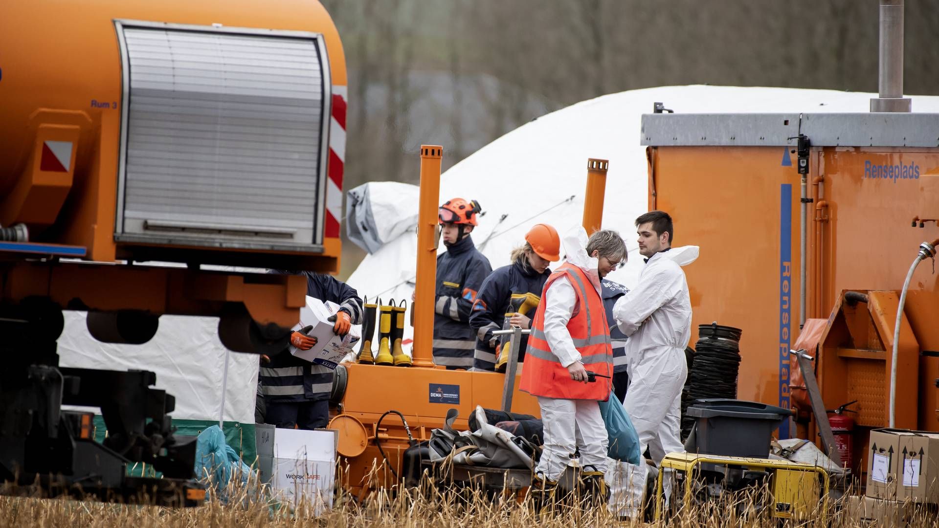 Billede fra tidligere udbrud af fugleinfluenza i Nordjylland. | Foto: René Schütze