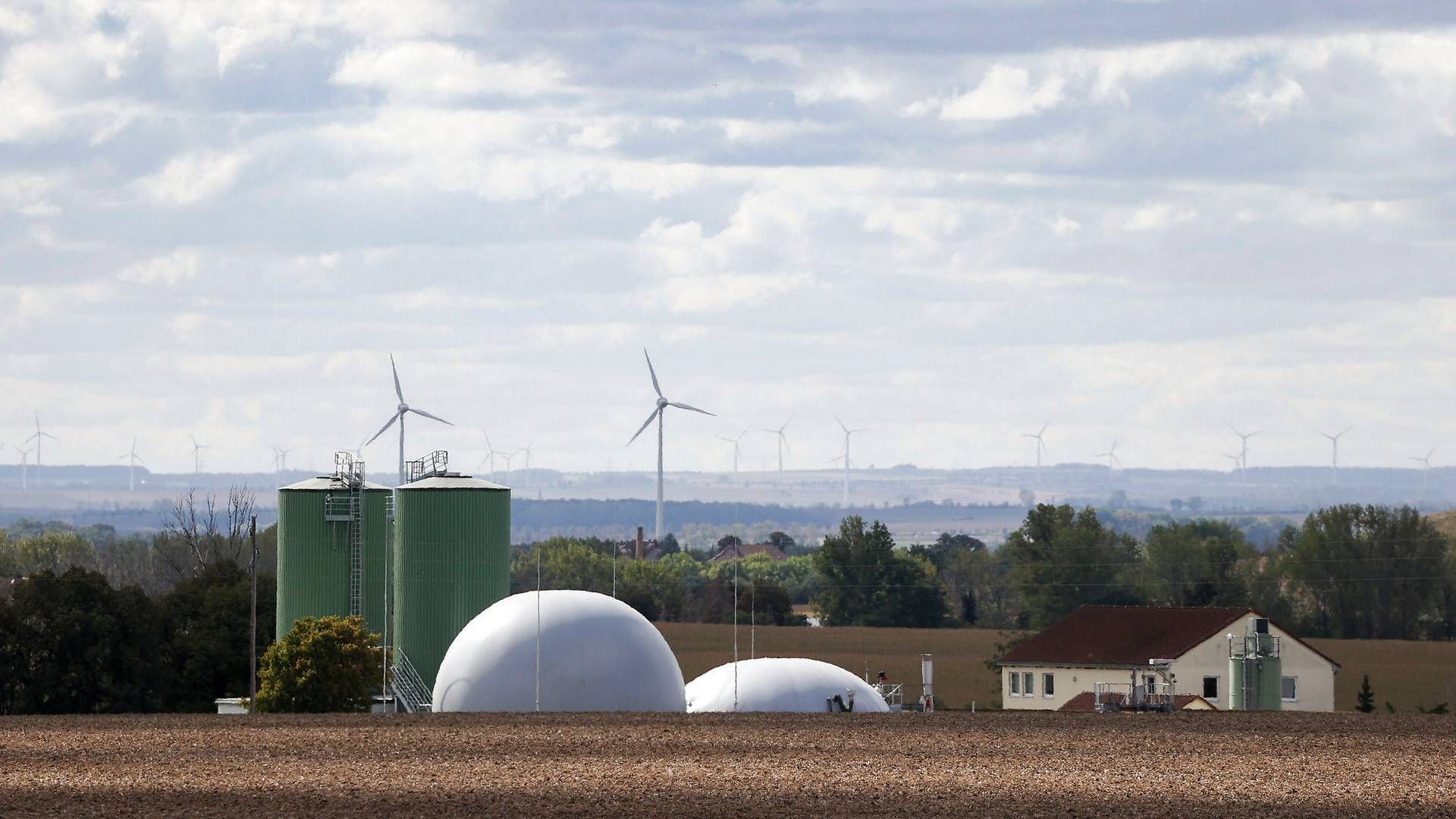 A biogas plant in Stafurt, Germany | Photo: Jan Woitas/AP/Ritzau Scanpix