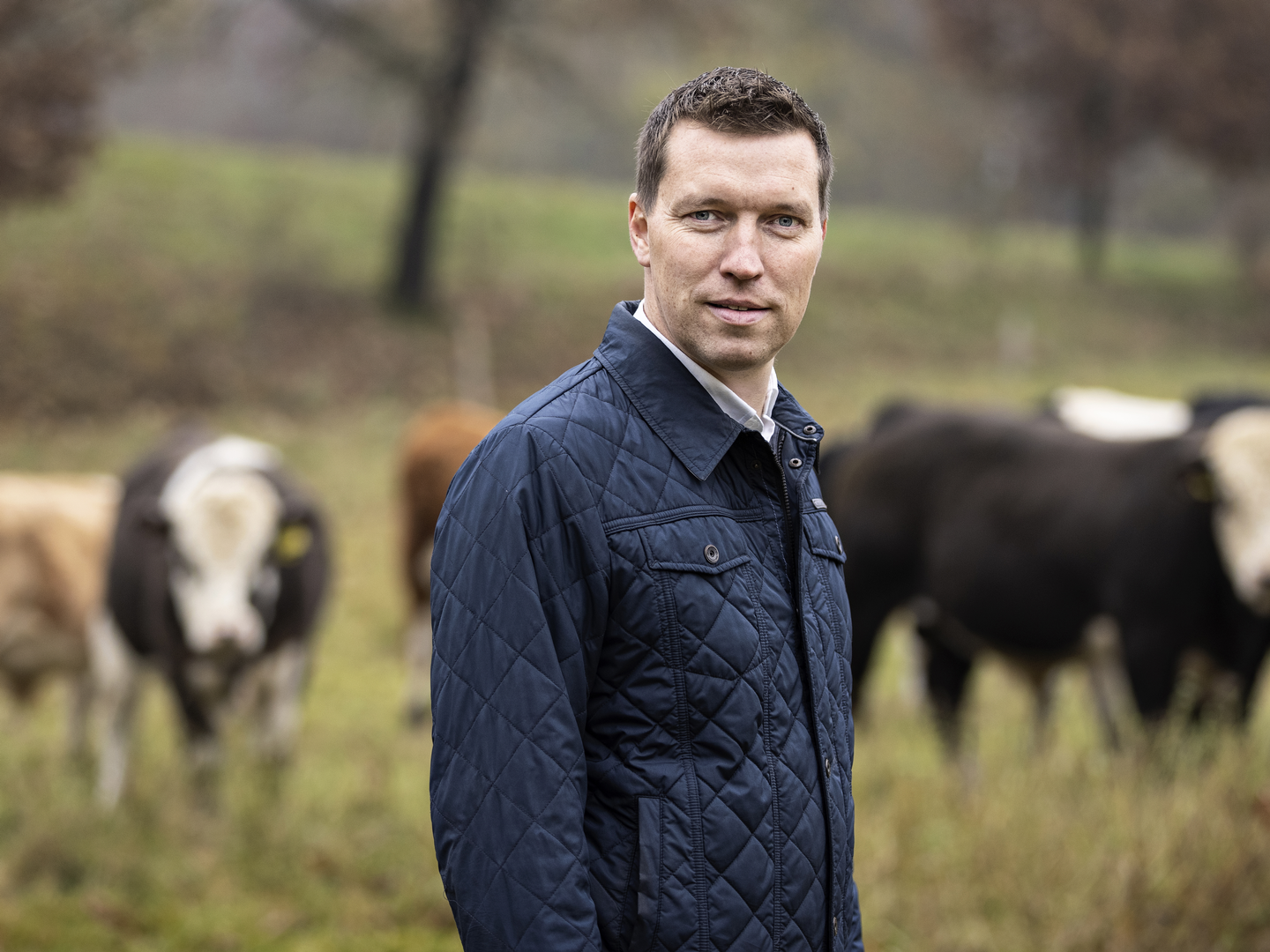 Søren Søndergaard skal vente til 1. august, før hans nye adm. direktør Merete Juhl indtager hjørnekontoret på Axelborg. Indtil da arbejder han videre med det store af Landbrug & Fødevarers struktur. | Foto: Niels Hougaard