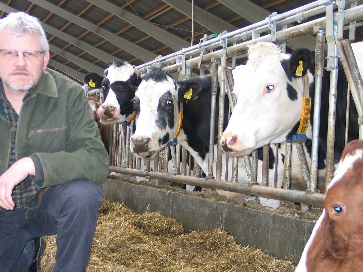 Landmænd vil fortsat være lammet i kampen om mask, fordi biogasselskaberne kan overbyde prisen, mener formand for Danske Mælkeproducenter. | Foto: LDM / PR