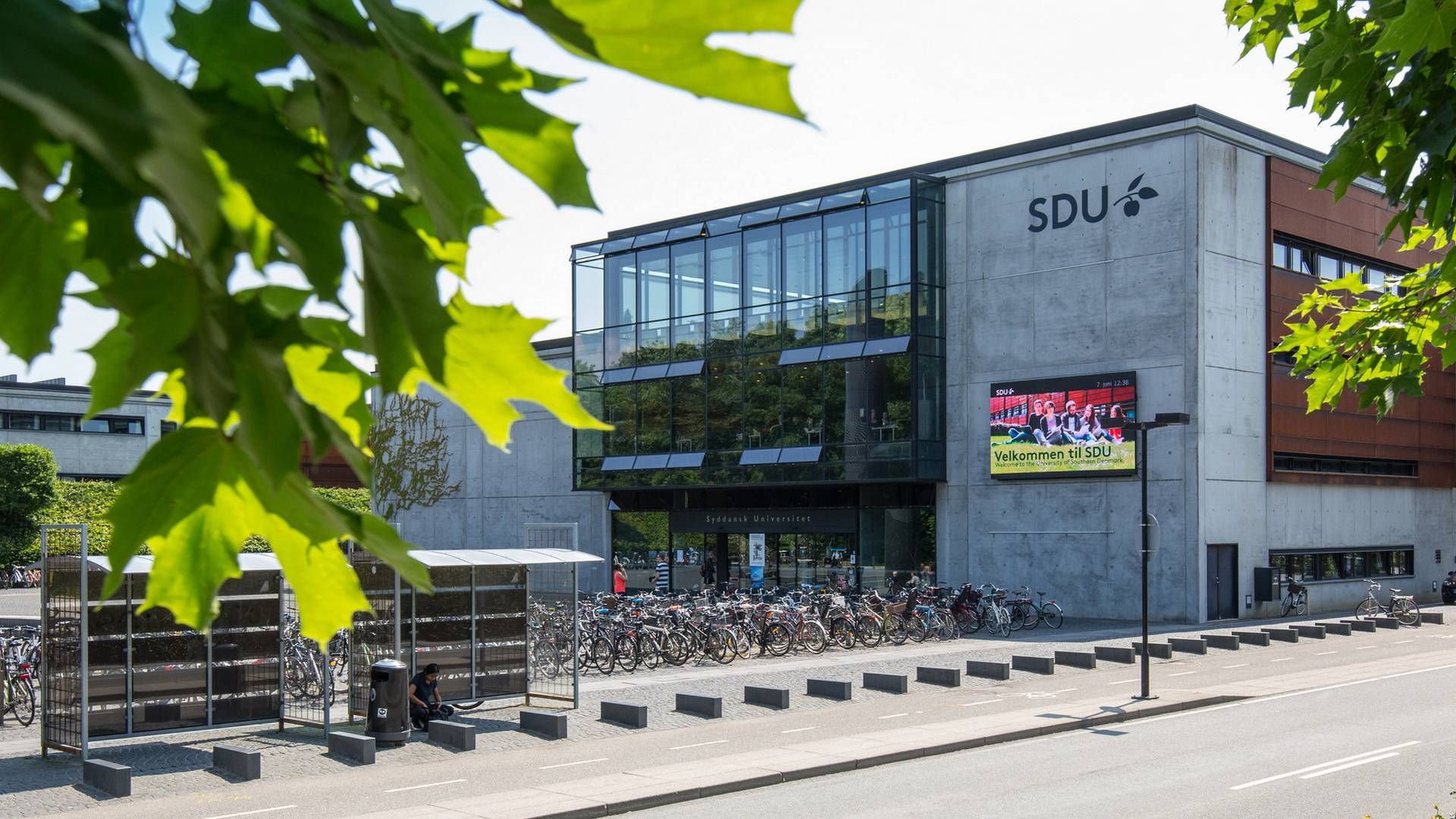 Det er Syddansk Universitet i Odense, der skal stå for den nye jurauddannelse i Esbjerg. | Foto: SDU / PR