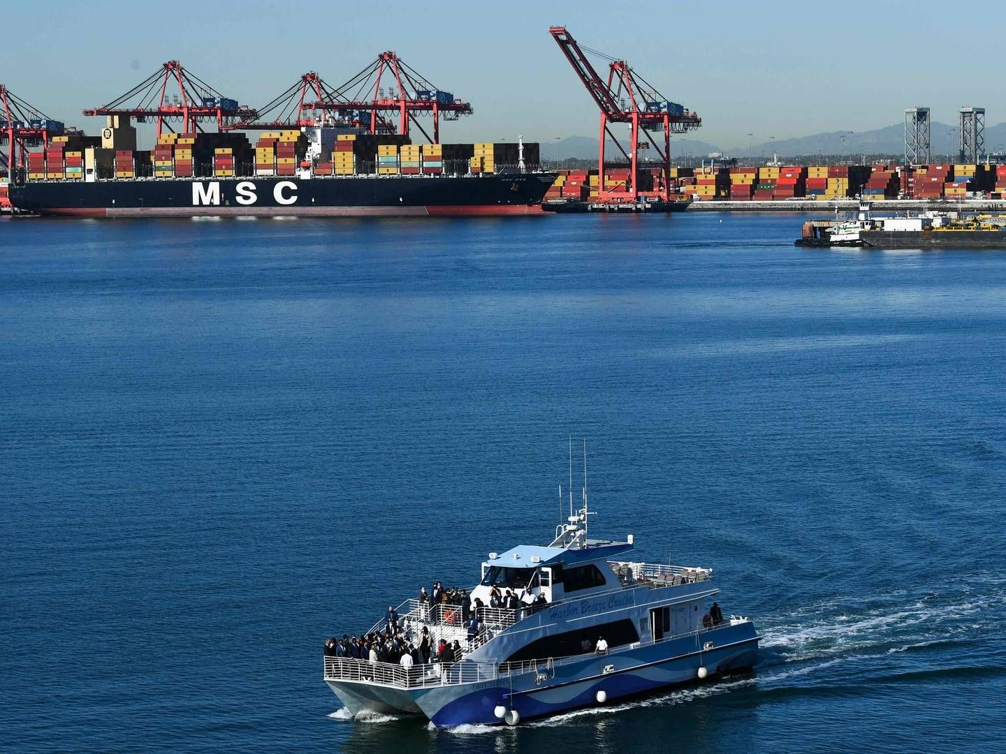 Havnene i Long Beach og Los Angeles er ramt af flaskehalse og nye coronaudbrud. | Foto: Patrick T. Fallon/AFP / AFP