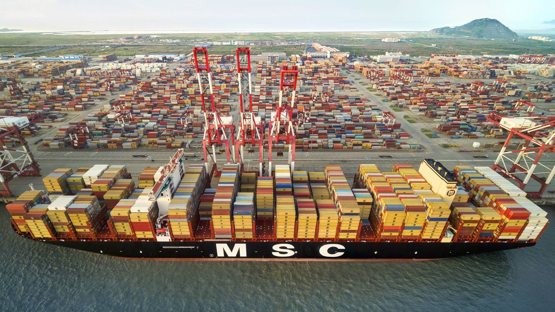 MSC, der er verdens største containerrederi, har bestilt 66 nye skibe med en kapacitet på 1,1 mio. teu, og det svarer til 25,4 pct. af den eksisterende flåde ifølge Alphaliner. | Foto: MSC