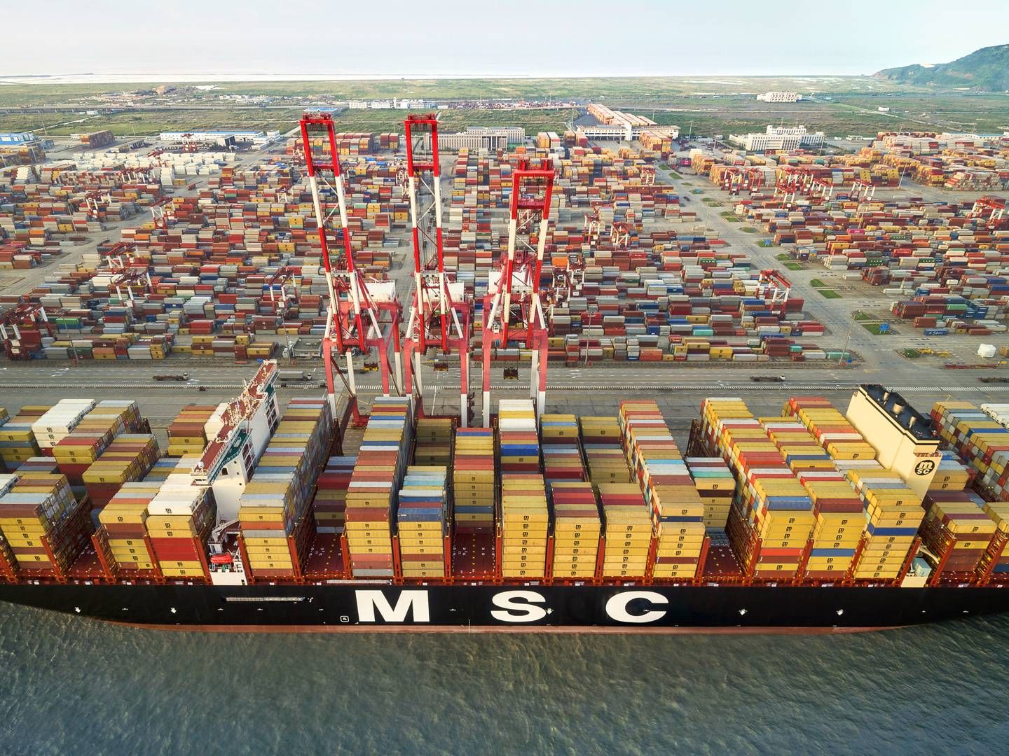 MSC, der er verdens største containerrederi, har bestilt 66 nye skibe med en kapacitet på 1,1 mio. teu, og det svarer til 25,4 pct. af den eksisterende flåde ifølge Alphaliner. | Foto: MSC