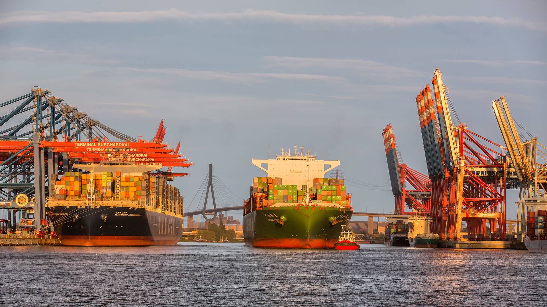 Hamborg Havn, en af Europas største. | Foto: PR / Dietmar Hapenpusch / Port of Hamburg Marketing Association
