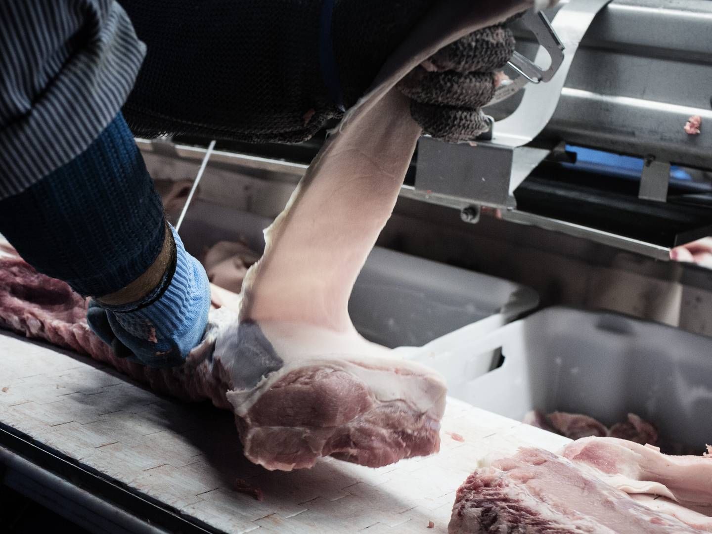 Tyske slagterier er udfordret af syge og isolerede medarbejdere, der ikke kan møde på arbejde i de toptunede slagtekæder. | Foto: Thomas Emil Sørensen/ERH