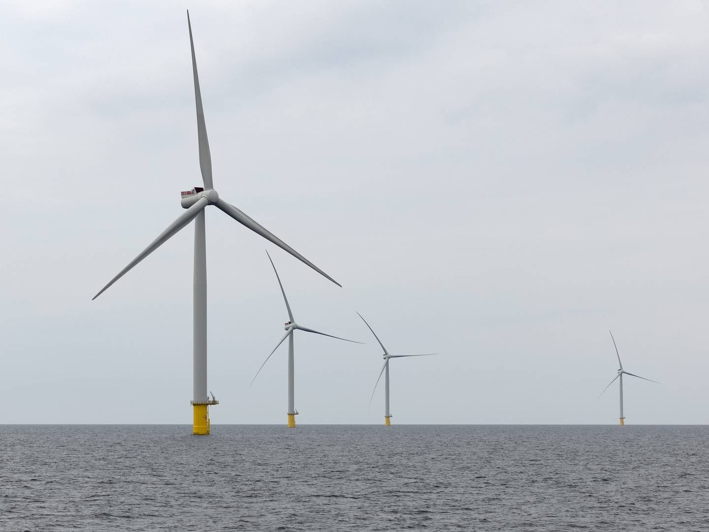 Det danske energiselskab Ewii og det japanske selskab Tokyo Gas vil sammen udvikle vind- og solparker. | Foto: Marcus Emil Christensen