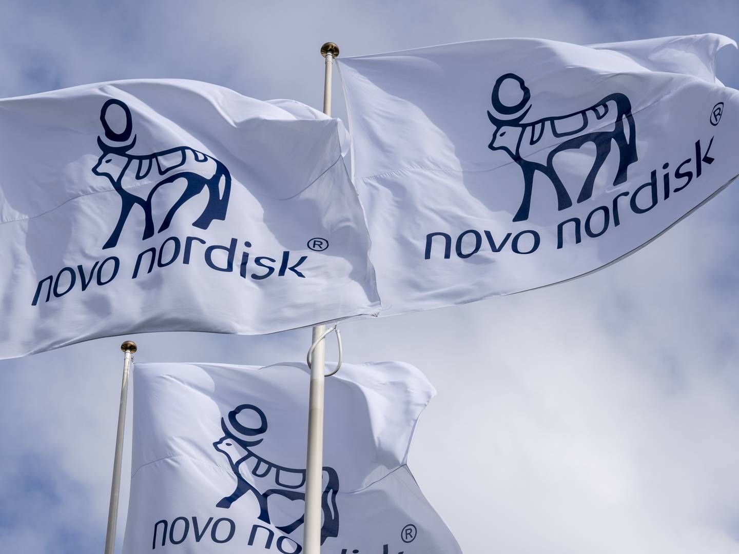 Novo Holdings, der har store aktieposter i biotekselskaberne Novo Nordisk og Novozymes, var den største bidragyder mht. selskabsskat i 2020. | Foto: Novo Nordisk / PR