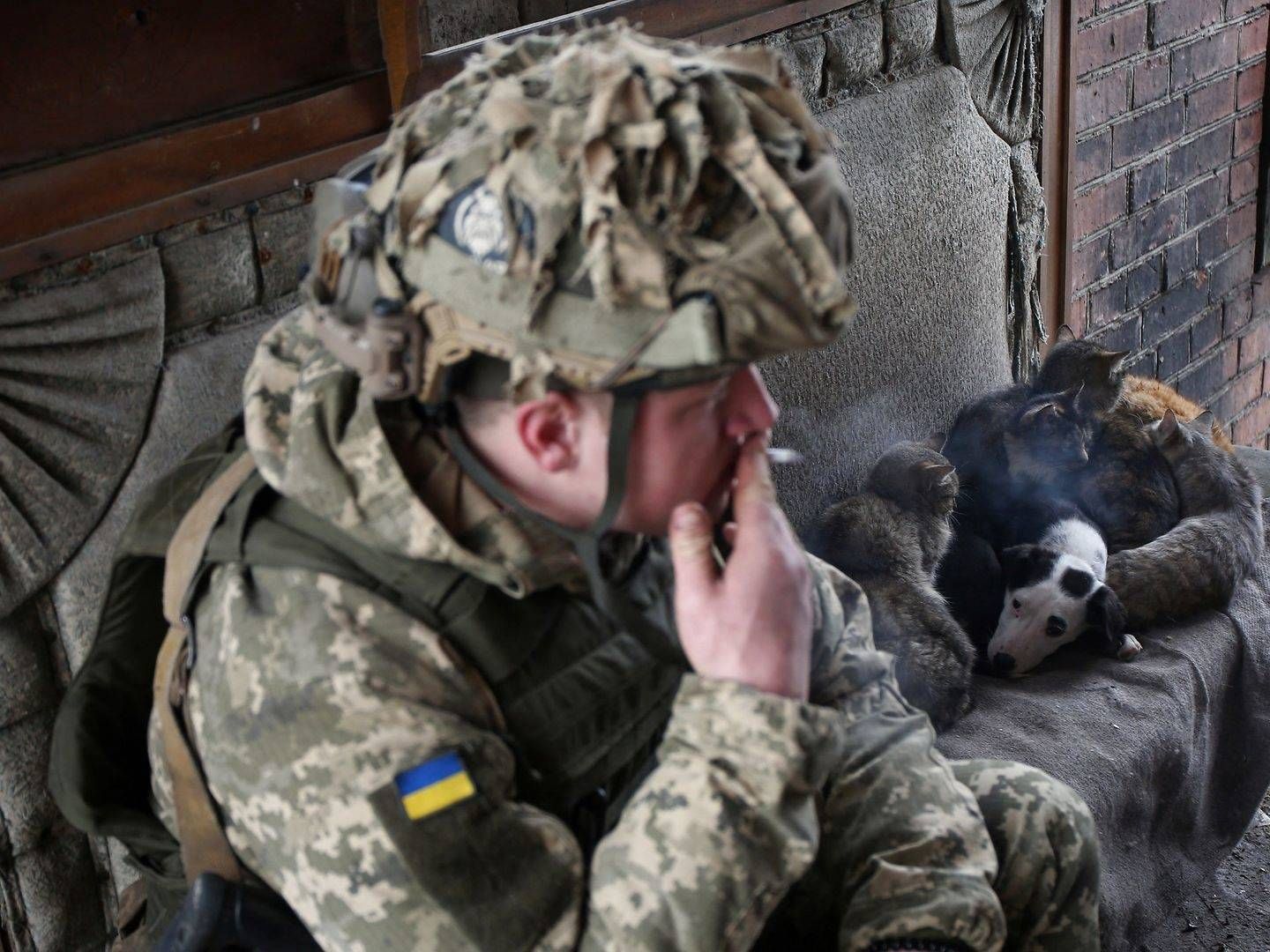 Foto: Anatolii Stepanov/AFP/Ritzau Scanpix/AFP / AFP