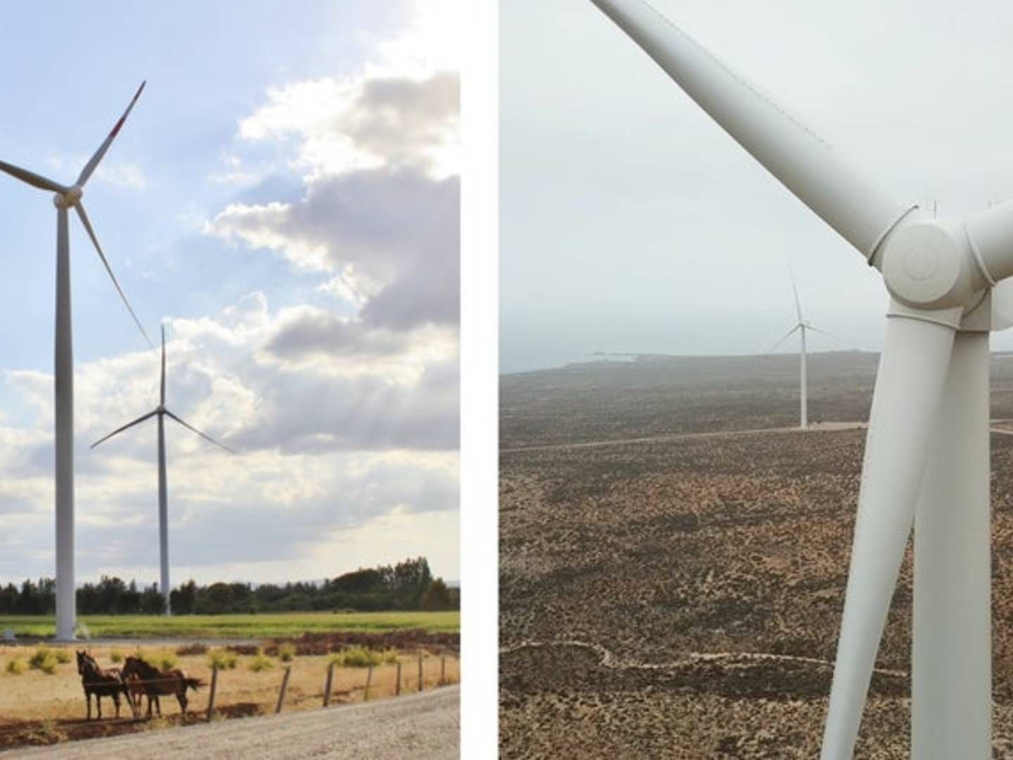 Photo: Mainstream Renewable Power