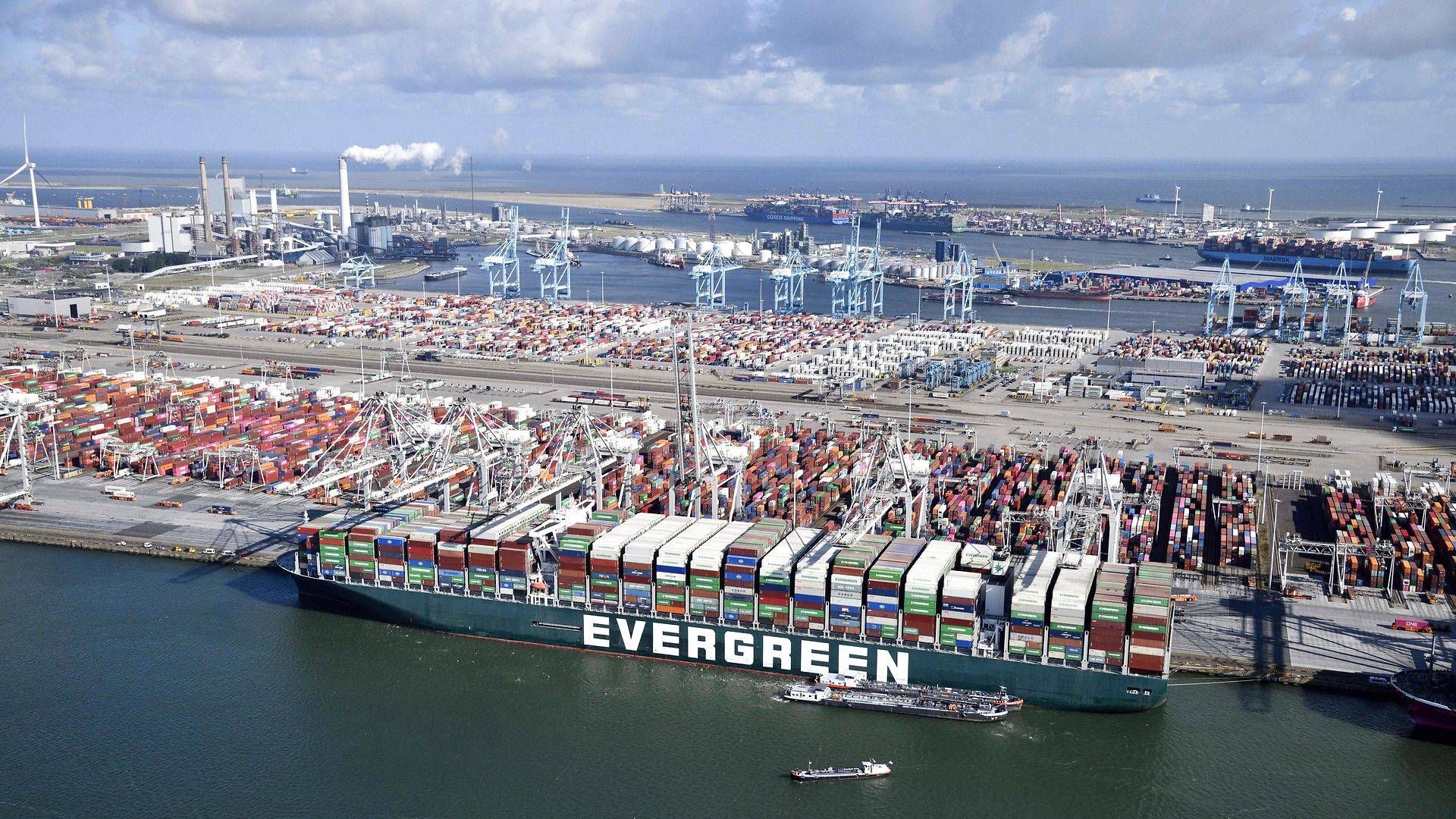 Her ses et Evergreen-skib ved olieterminalen ECT Delta i Rotterdam, der dog ikke er ramt af cyberangreb, som er tilfældet for en række andre terminaler. | Foto: Bram Van De Biezen/AFP/Ritzau Scanpix