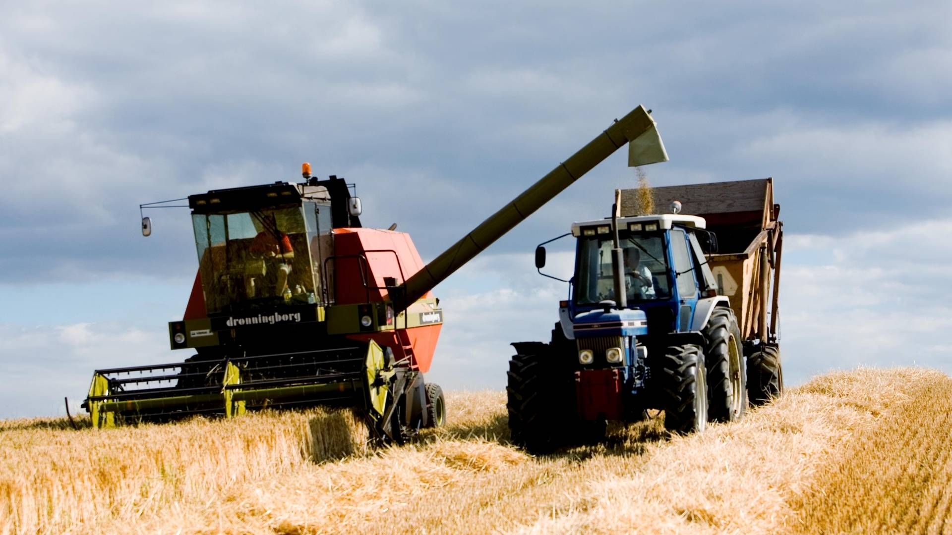 Når det gælder landbrugsråvarer, forudser Verdensbanken, at prisen på hvede i år vil stige med 40 pct. til det højeste nogensinde. | Foto: Carsten Ingemann/ERH
