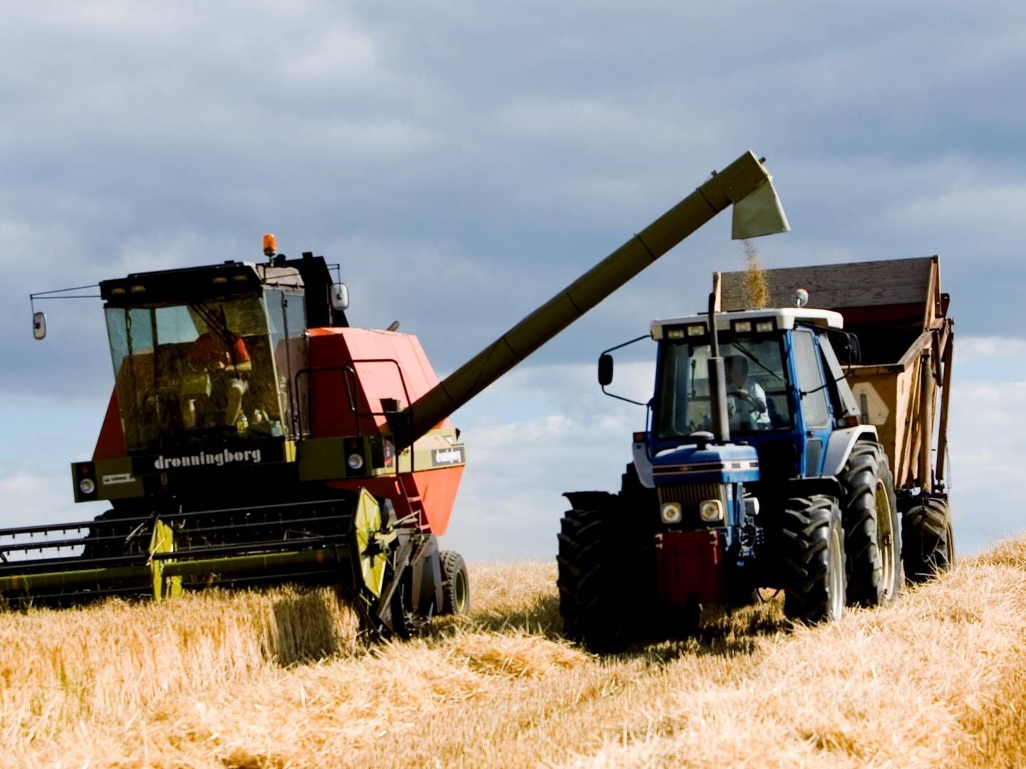Når det gælder landbrugsråvarer, forudser Verdensbanken, at prisen på hvede i år vil stige med 40 pct. til det højeste nogensinde. | Foto: Carsten Ingemann/ERH